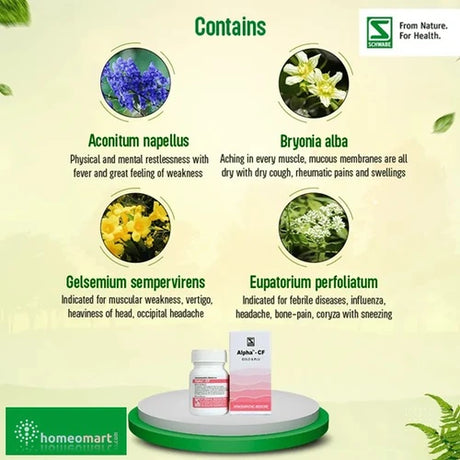 infographic on benefits of ingredients in cold and flu medicine homeopathic