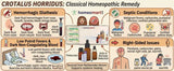 crotalus horridus homeopathic medicine, crotalus homeopathy uses, homeopathy for hemorrhage, bleeding disorders homeopathy, jaundice homeopathic medicine, septicemia homeopathy remedy, stroke paralysis homeopathy