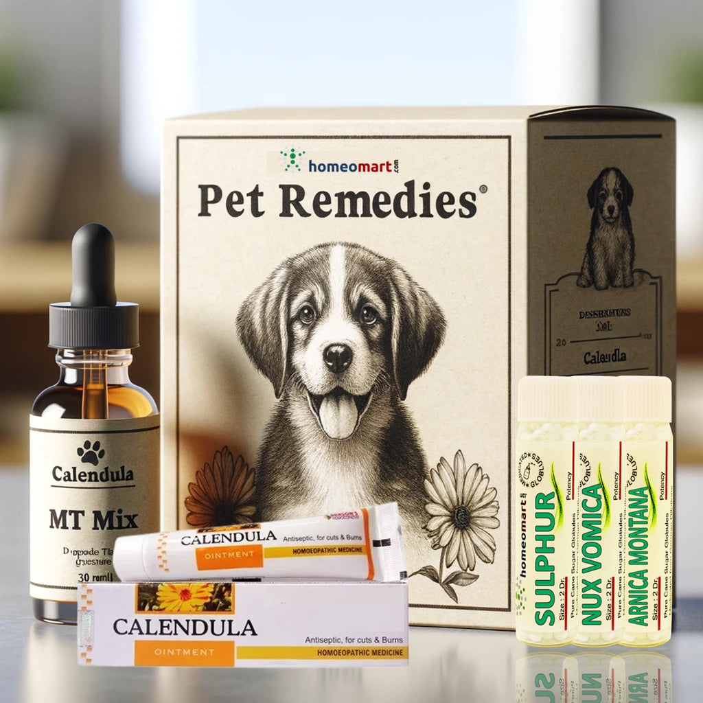 Homeopathy Medicines for Dogs