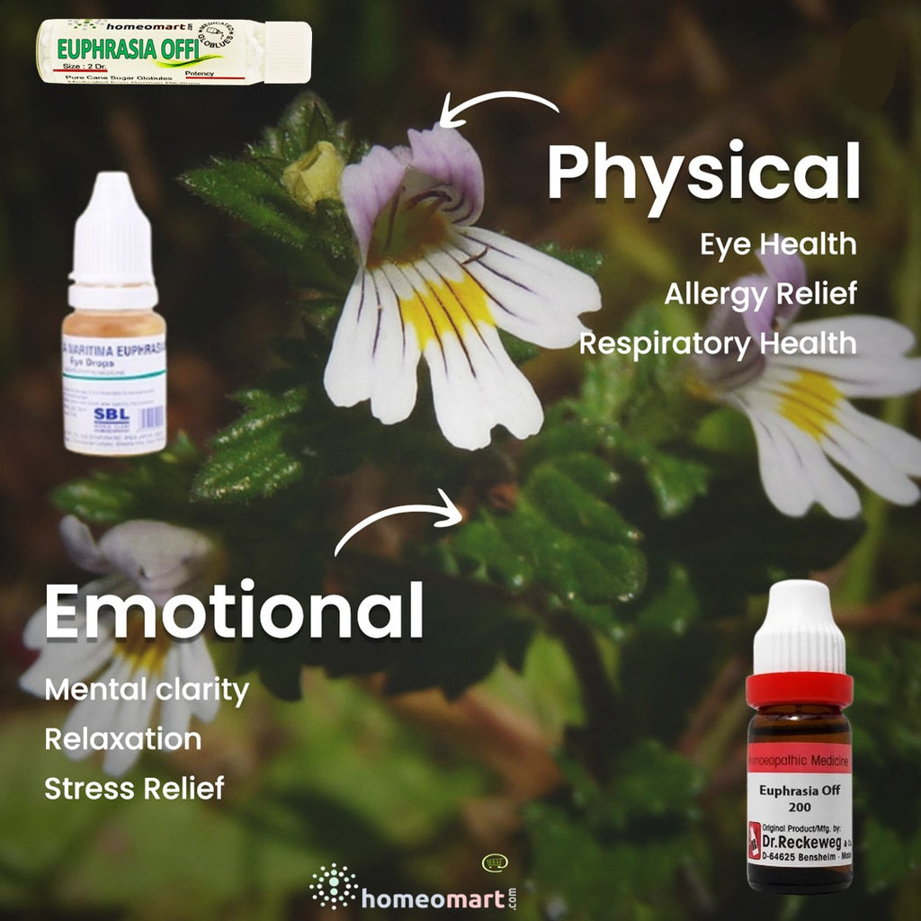 Euphrasia Officinalis homeopathy medicine uses indications benefits
