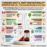 Adel 64 for uric acid, Adel 64 for gout, Adel 64 Mundipur for high uric acid, homeopathic medicine for elevated uric acid, homeopathic drops for gout symptoms, German homeopathy for gout, homeopathy for uric acid related joint pain, homeopathic remedy for gout and joint stiffness, Colchicum Autumnale, Berberis Vulgaris, Bryonia Cretica, Cynara Scolymus, Harpagophytum, Ledum Palustre, Natrium Carbonicum, Phytolacca Americana,