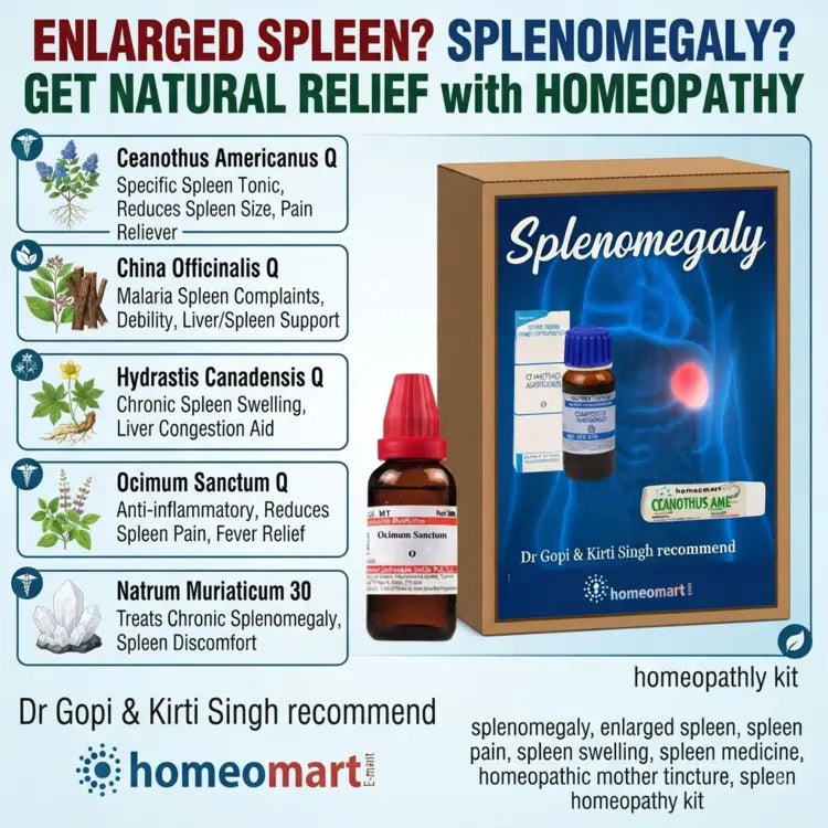 enlarged spleen medicine, homeopathy spleen, spleen pain, spleen swelling, Ceanothus Americanus Q, China Officinalis Q, Hydrastis Canadensis Q, Ocimum Sanctum Q, Natrum Muriaticum 30, spleen combination, splenomegaly kit, liver spleen homeopathy, malaria spleen complaints, homeopathic mother tincture, doctor advised homeopathy, spleen disease