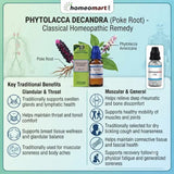 homeopathic medicine for swollen lymph glands, homeopathic remedy for enlarged tonsils, natural remedy for sore throat and painful swallowing, homeopathy for recurrent tonsillitis, homeopathic medicine for glandular swelling, homeopathic remedy for breast tenderness, homeopathy for mastitis support, natural remedy for lymphatic support, homeopathic medicine for body aches and soreness,