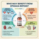 Homeopathic Kidney Support, Epigea Repens Mother Tincture Q, Kidney Stone Homeopathy, Uric Acid Homeopathy, Renal Calculi Homeopathy, German Mother Tincture, Dr Reckeweg Epigea Repens, Schwabe Epigea Repens, Adel Epigea Repens