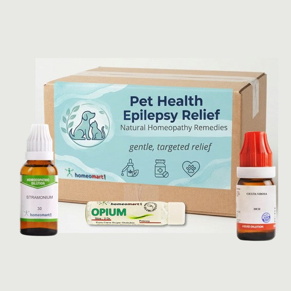 homeopathic pet epilepsy medicine, buy pet seizure remedy, natural epilepsy treatment for animals, homeopathic kit for dog seizures, Dr Kamal Kansal pet remedies