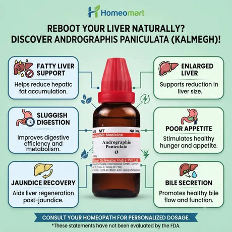 Andrographis Paniculata uses, Kalmegh benefits,homeopathic medicine for fatty liver support, homeopathic remedy for enlarged liver, kalmegh for poor appetite, homeopathic medicine for sluggish digestion, homeopathic remedy for jaundice recovery support, homeopathic medicine for bile secretion support,