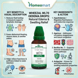 swollen ankles remedy, edema treatment homeopathy, homeopathic medicine for water retention, bloating and swelling remedy, wheezal edema drops