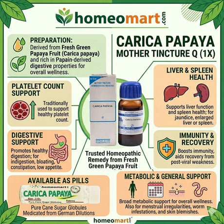 berberis vulgaris homeopathy medicine uses