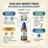 Homeopathic Sciatica Remedy, Homeopathic Nerve Pain Medicine, Homeopathic Muscle Weakness Remedy, Homeopathic Joint Pain Medicine, Rheumatic Pain Homeopathy, Magnolia Grandiflora Drops