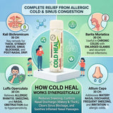 natural medicine for sneezing allergy, sinus congestion homeopathy tablets, cold relief homeopathy pills india, medicine for blocked nose homeopathy