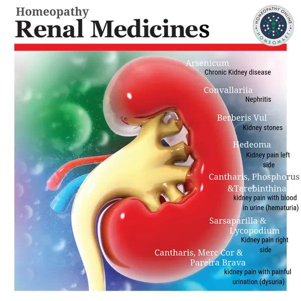 Kidney stones medicines by indications in homeopathy