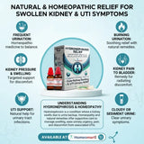 hydronephrosis, kidney support, kidney swelling, urinary health, urinary tract infection, UTI support, Berberis Vulgaris, Cantharis, Solidago, Apis Mellifica, Arsenicum Album, Nitric Acid, Phosphorus, Sarothamnus Scoparius, Argentum Metallicum, Apocynum, bladder health, burning urination,