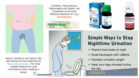 nocturia treatment guidelines with homeopathy remedies