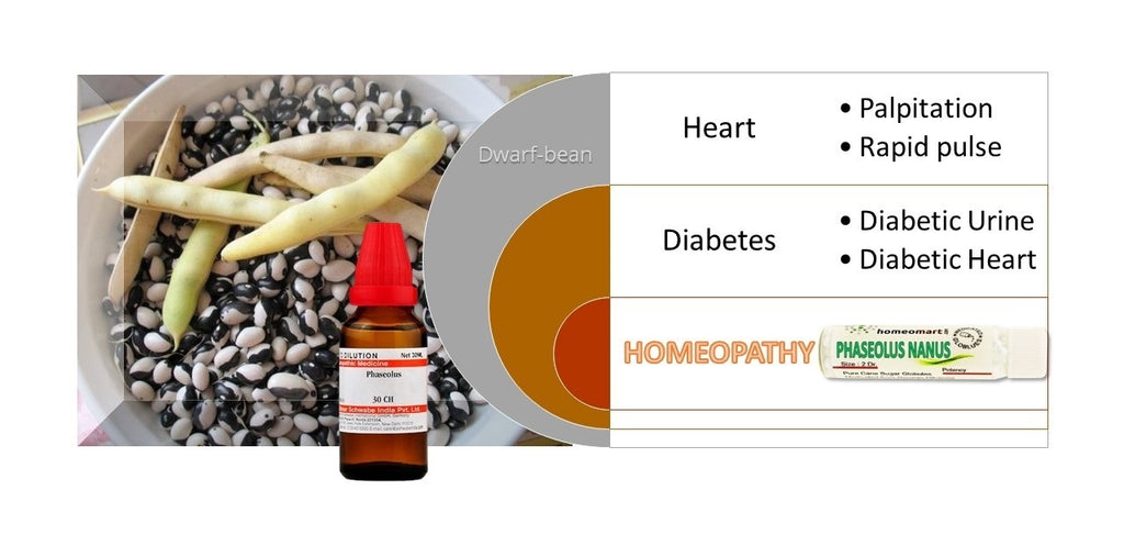 Phaseolus Nanus Homeopathy Dilution indications uses benefits
