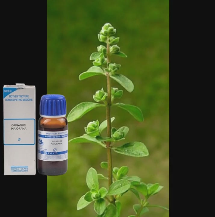 short video of a Origanum Majorana plant with medicine bottle highlighting benefits