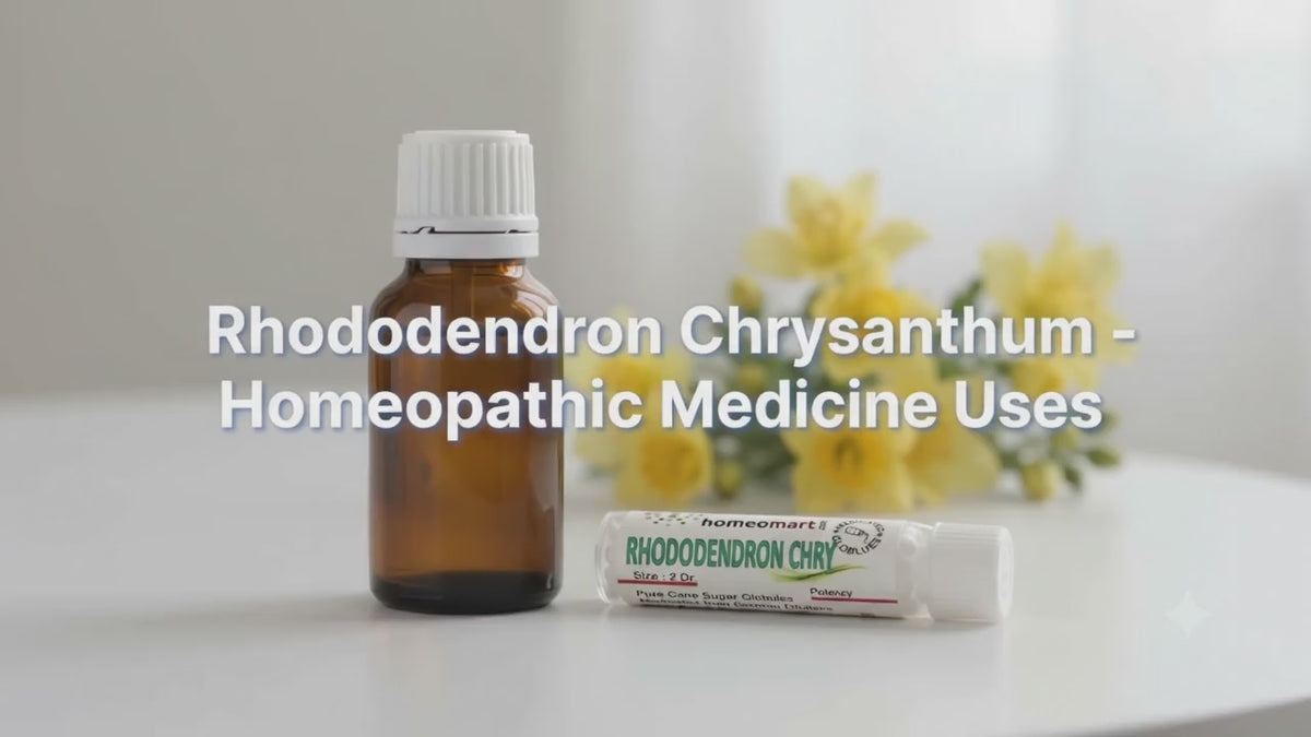  Rhododendron Chrysanthum Homeopathy benefits, Rheumatic and gouty joint pains medicine, meteorpathy,  testicular complaints, homeopathy for Neuralgia & Headache