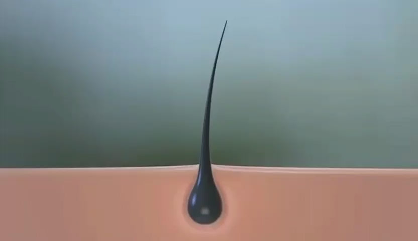 Video showing close up of a hair follicle and a drop of hair serum flowing through its root and shaft and enriching it