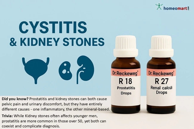 homeopathy relief medicines R27 & R18 for prostatitis with kidney stones