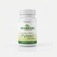 Wheezal Pylaxo Tablets, Wheezal Pylex,   homeopathic medicine for piles, homeopathic piles tablets, bleeding piles medicine, non bleeding piles treatment, homeopathic medicine for hemorrhoids, anal fissure homeopathy, fissure tablets, hemorrhoid medicine, piles relief tablets, natural piles medicine, rectal pain homeopathy, anal itching medicine, homeopathic medicine for anal discomfort, homeopathic hemorrhoid treatment, piles tablets India, homeopathic rectal care, fissure relief tablets