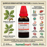 pleen support homeopathy, homeopathic medicine for alcoholism, quercus tincture, homeopathic remedy for constipation, homeopathic medicine for diarrhea, quercus robur benefits, homeopathic liver and spleen support, homeopathic de addiction medicine