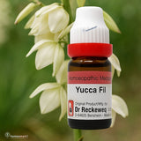 Bottle of Dr. Reckeweg Yucca Fil homeopathic medicine with a white flower in the background