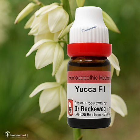 Bottle of Dr. Reckeweg Yucca Fil homeopathic medicine with a white flower in the background