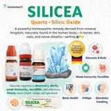 Silicea homeopathy uses, Silicea homeopathic medicine benefits in skin  nails and bones, natural immunity support homeopathy, homeopathic medicine for skin cracks, Silicea pills benefits, homeopathic remedy for chronic infections, Silicea for foreign body expulsion, homeopathic medicine for weak nutrition