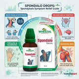 Wheezal Spondalo Drops packaging with spondylosis symptoms illustration on a white background