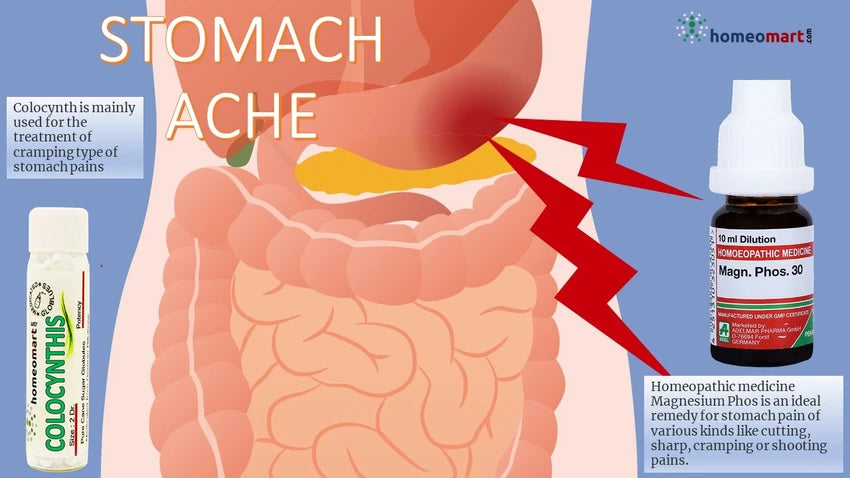 A diagram depicting stomach pain and natural homeopathy medicines with indications