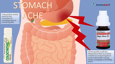 A diagram depicting stomach pain and natural homeopathy medicines with indications