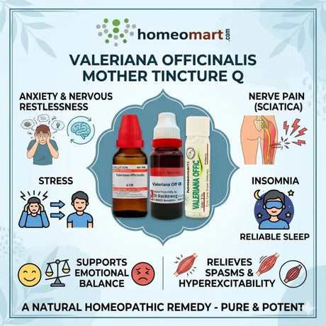 valeriana for nerve pain homeopathy, valeriana for sleep and restlessness, best homeopathy for sciatica pain valeriana, valeriana officinalis benefits homeopathy, homeopathic medicine for anxiety and sleep, valeriana q dosage uses, valerian root homeopathy drops, natural sedative