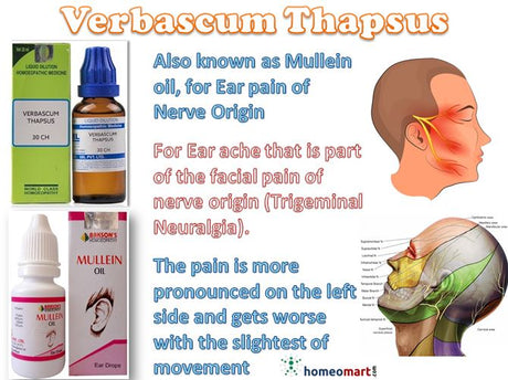 infographic for Verbascum Thapsus oil and mullein oil, with product images and anatomical illustration in facial neuralgia