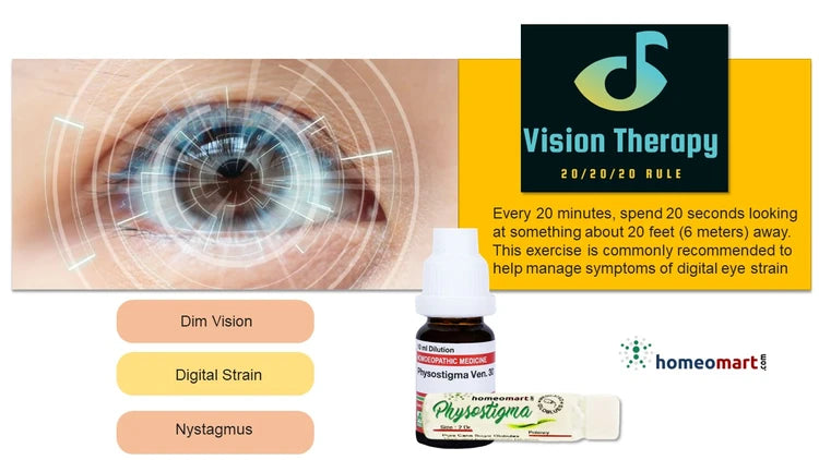Vision therapy product with eye health information and vision improvement products
