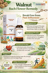 Walnut Bach Flower Remedy packaging with product details and benefits on a branded background.