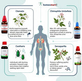 Homeopathy treatment chart with symptoms, remediesfor urinary incontinence, weak  dribbling urine