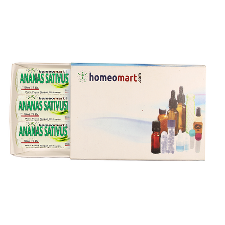 Ananas Sativus Homeopathy 2 Dram Pills Box