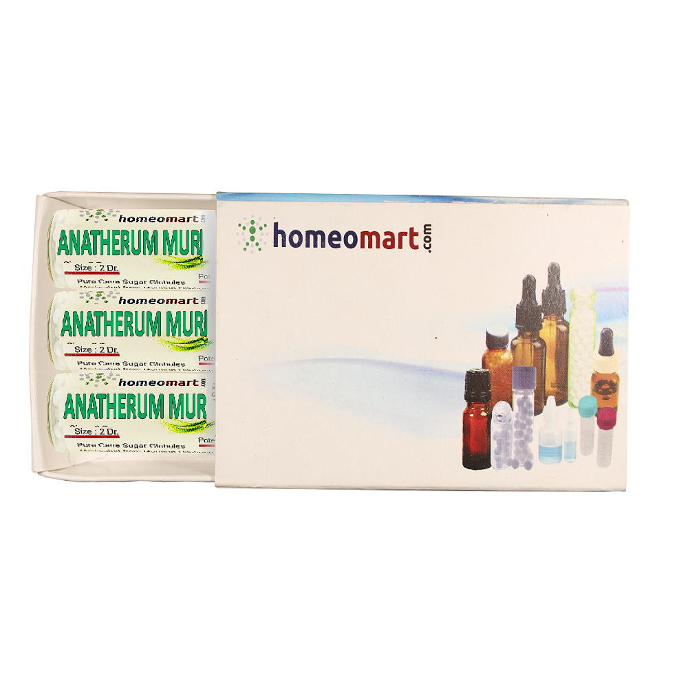Anatherum Muricatum Homeopathy 2 Dram Pills Box