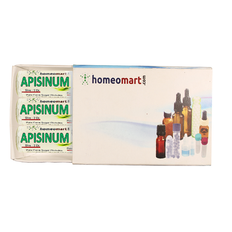 Apisinum Homeopathy 2 Dram Pills Box