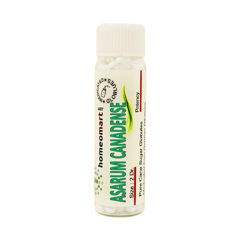 Asarum Canadense Homeopathy 2 Dram Pills