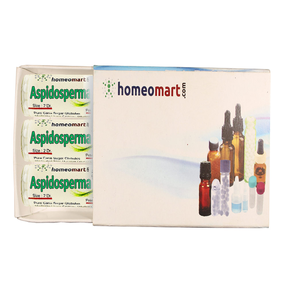 Aspidosperma Homeopathy 2 Dram Pills Box