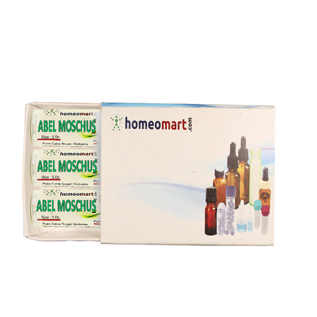 Abel Moschus Homeopathy Pills 2 Dram Pills Box