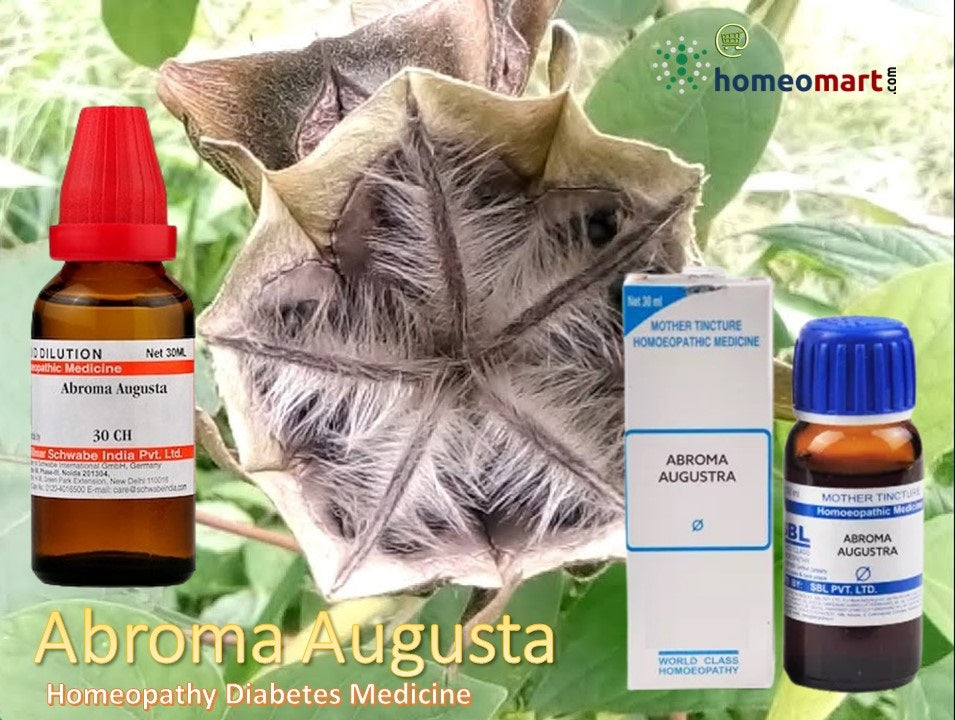 Abroma Augusta homeopathy uses benefits dosage side effects