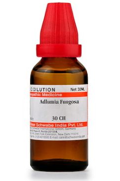 Schwabe Adlumia Fungosa Homeopathy Dilution 6C, 30C, 200C, 1M, 10M, CM