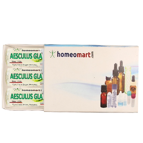 Aesculus Glabra for proctitis, homeopathy for thrombosed hemorrhoid, Aesculus Glabra for painful hemorrhoids, Aesculus Glabra for dark purple hemorrhoids, Aesculus Glabra for external hemorrhoids, Aesculus Glabra for hemorrhoids with constipation, Aesculus Glabra rectal fullness, Aesculus Glabra hemorrhoids with backache, homeopathic dilution for painful hemorrhoids