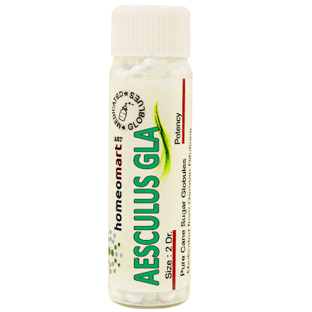 Aesculus Glabra homeopathy pills, Aesculus Glabra for thrombosed hemorrhoid, Aesculus Glabra for proctitis, Aesculus Glabra hemorrhoids, Aesculus Glabra pills, Ohio Buckeye homeopathic pills, homeopathy for thrombosed hemorrhoid, homeopathy for proctitis