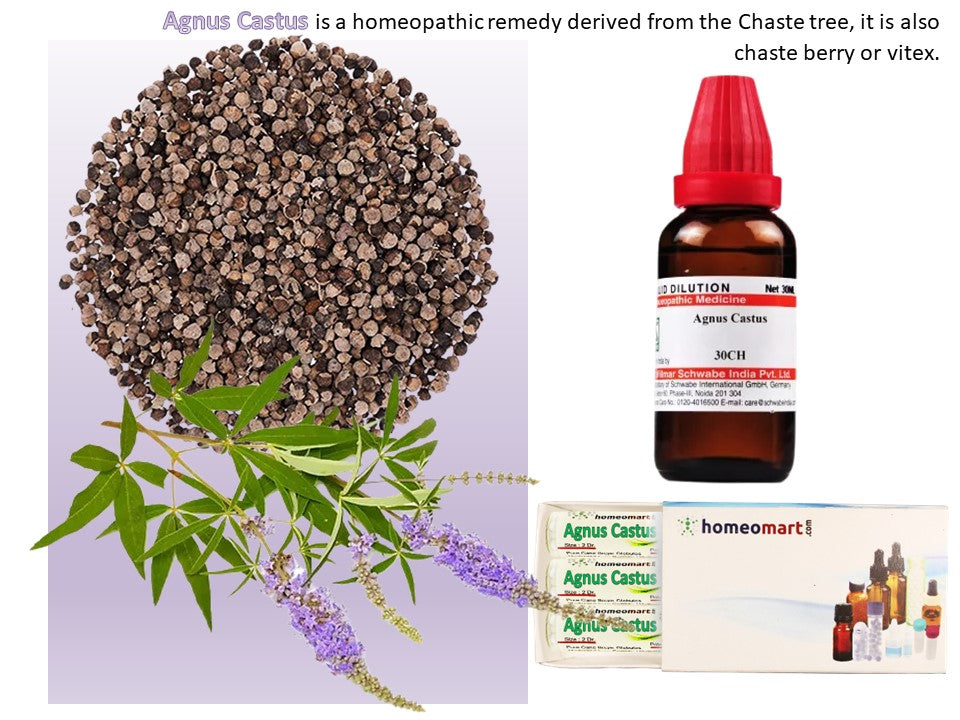 Agnus castus homeopathic uses indications benefits