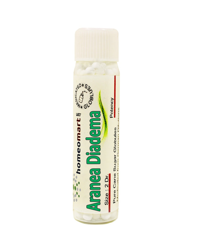 Aranea Diadema Homeopathy pills