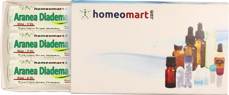 Aranea Diadema Homeopathy pills Box