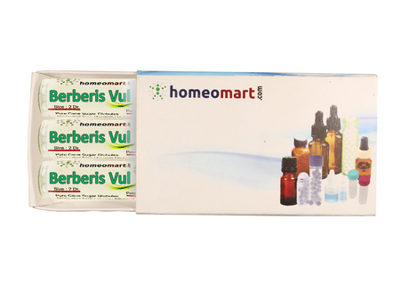 Berberis Vulgaris 2 Dram Pills Box