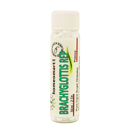 Brachyglottis Repens Homeopathy 2 Dram Pills